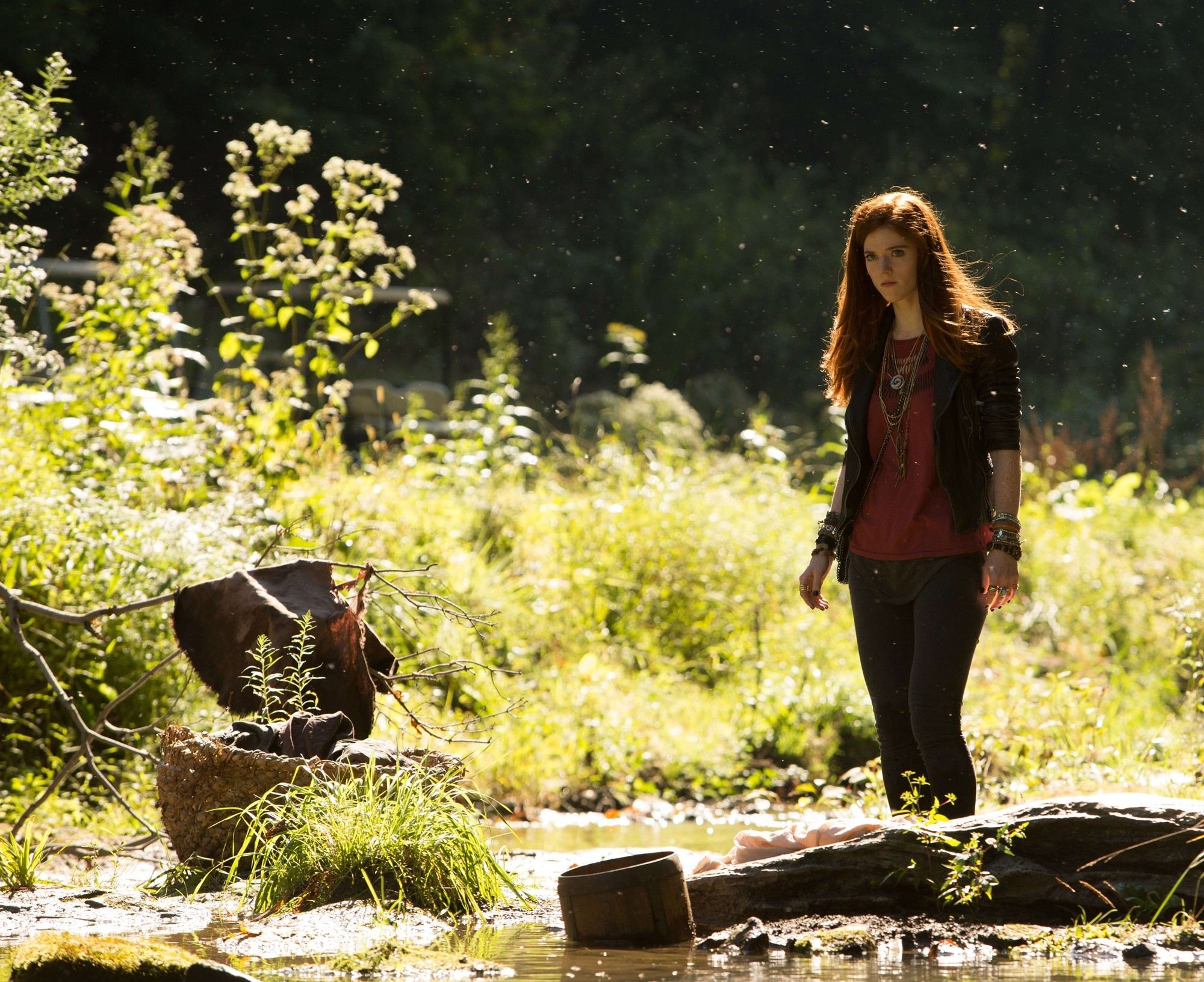 The Last Witch Hunter Picture 41