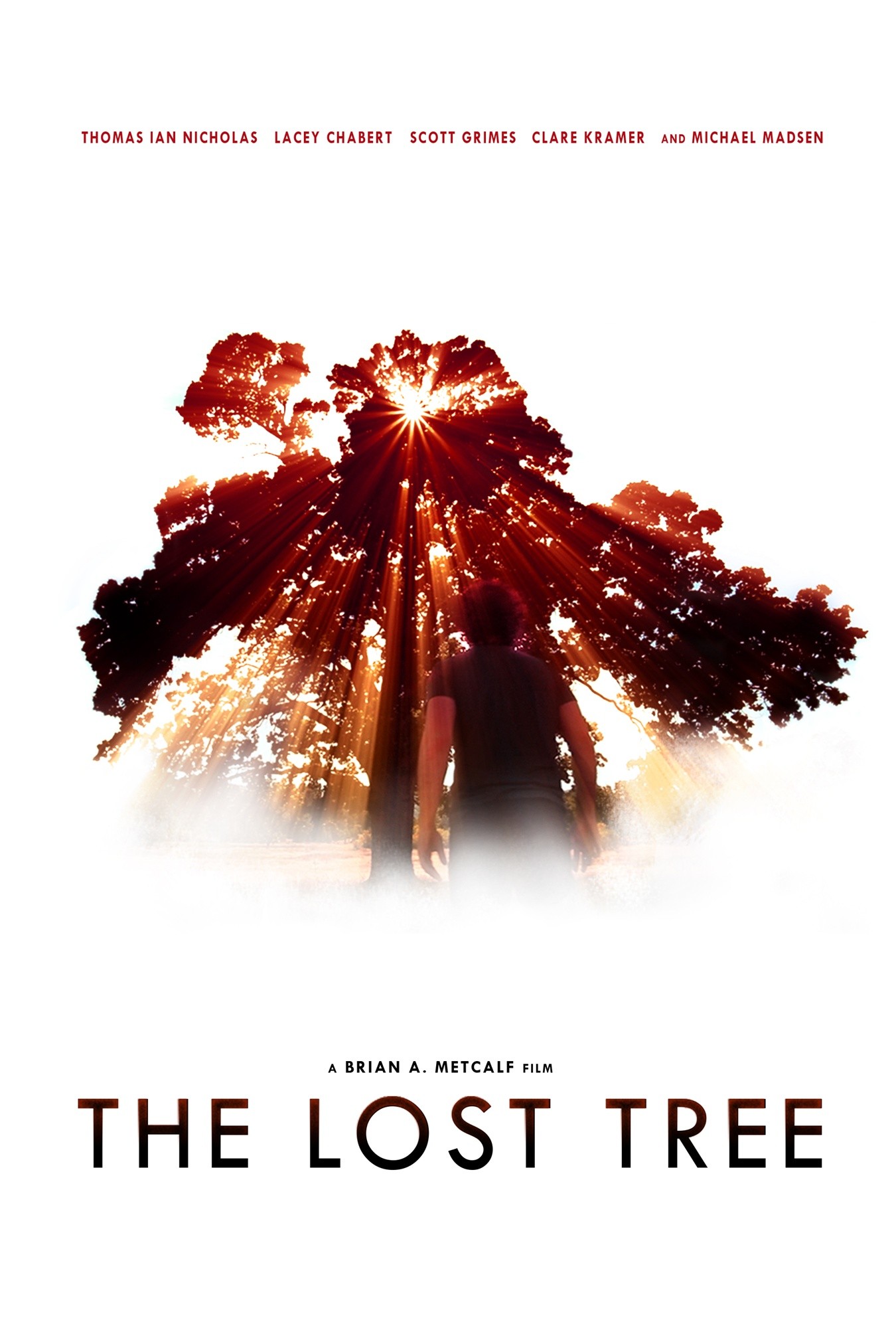 Poster of Red Compass Media's The Lost Tree (2013)