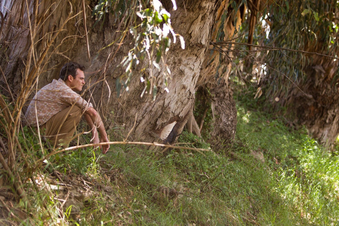 Joaquin Phoenix stars as Freddie Sutton in The Weinstein Company's The Master (2012)