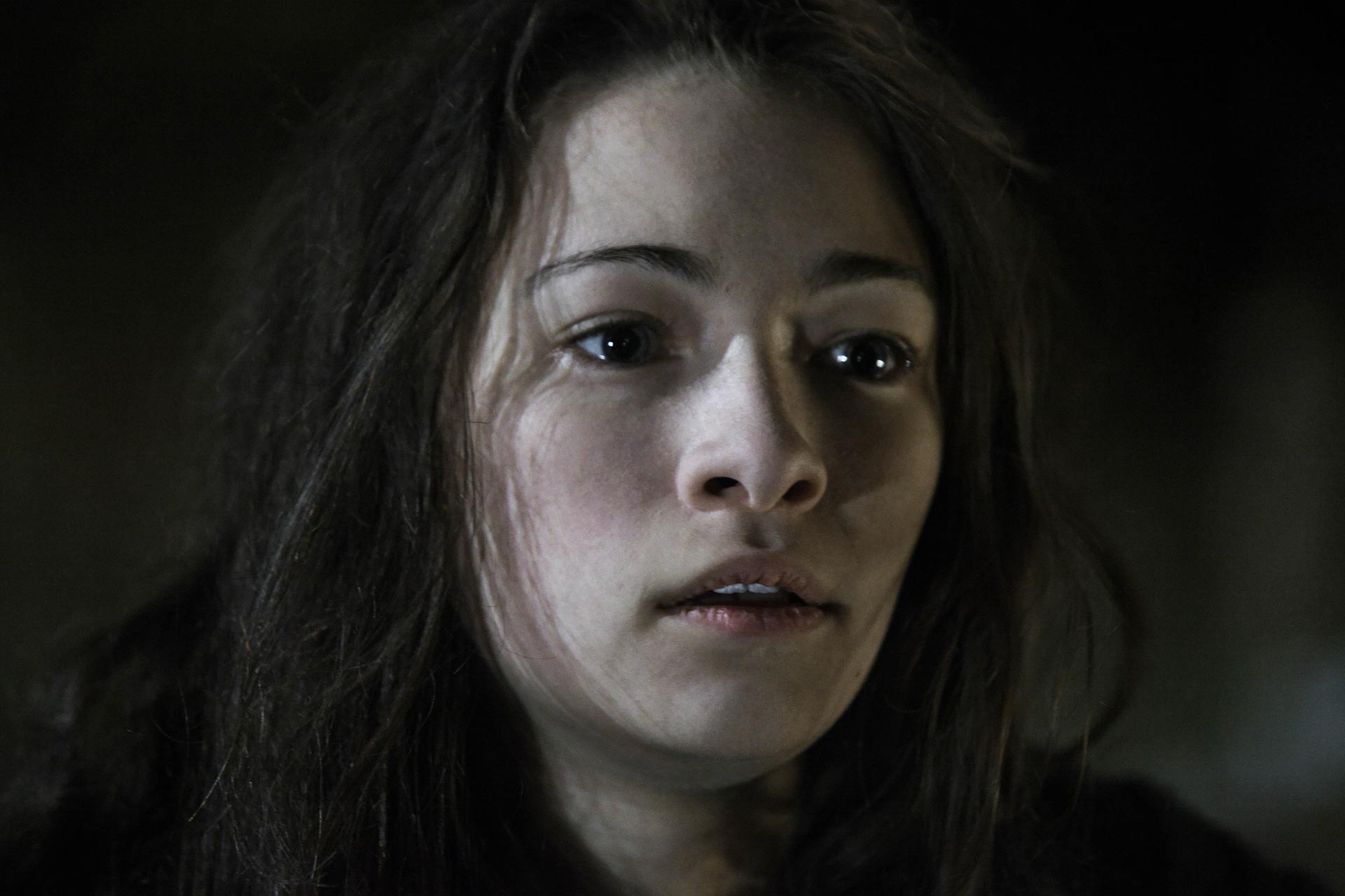 Films Et Séries Tv Avec Jodelle Ferland The Tall Man Picture 32