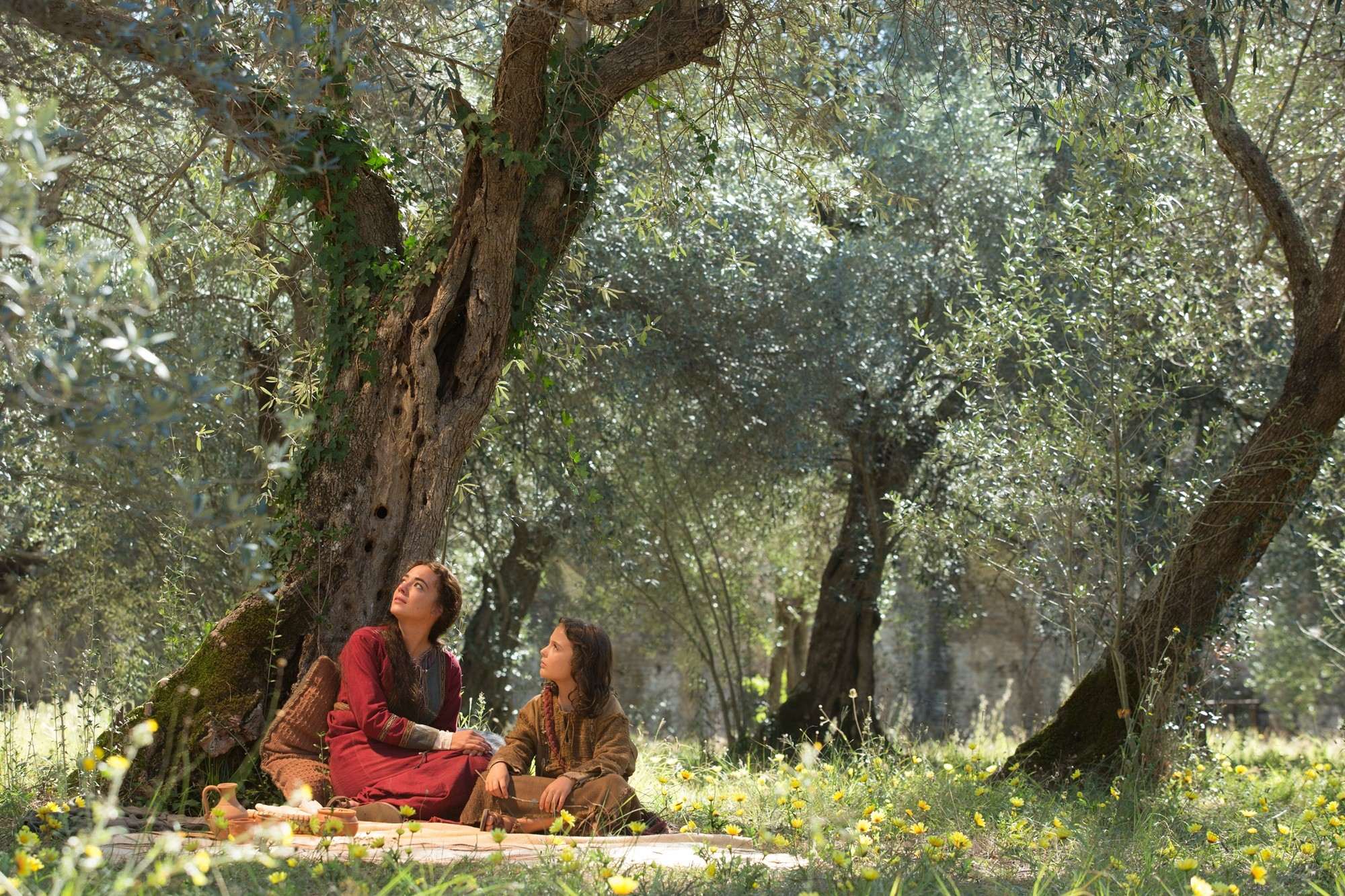 Sara Lazzaro stars as Mary and Adam Greaves-Neal stars as Jesus in Focus Features' The Young Messiah (2015)