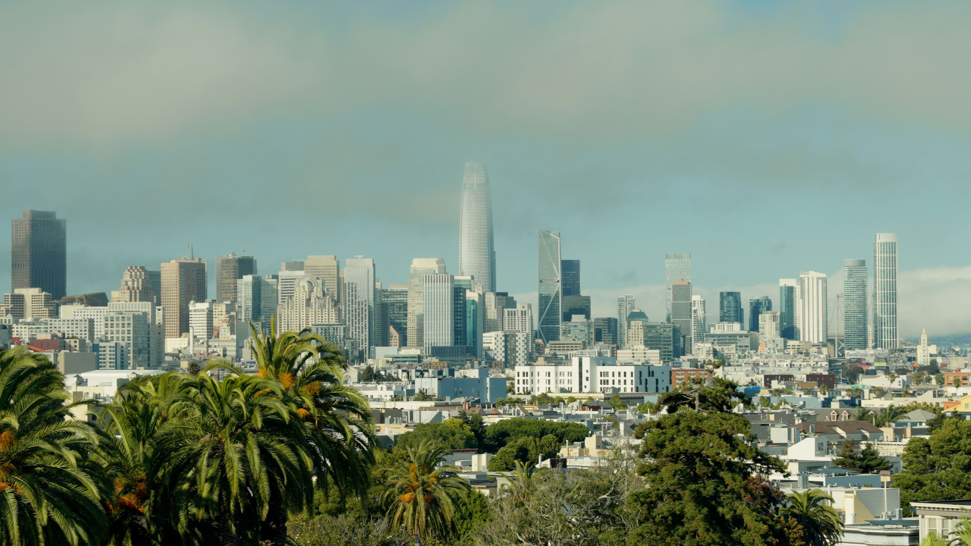 The City (2026)