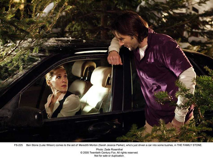 Sarah Jessica Parker and Luke Wilson in 20th Century Fox's THE FAMILY STONE (2005)