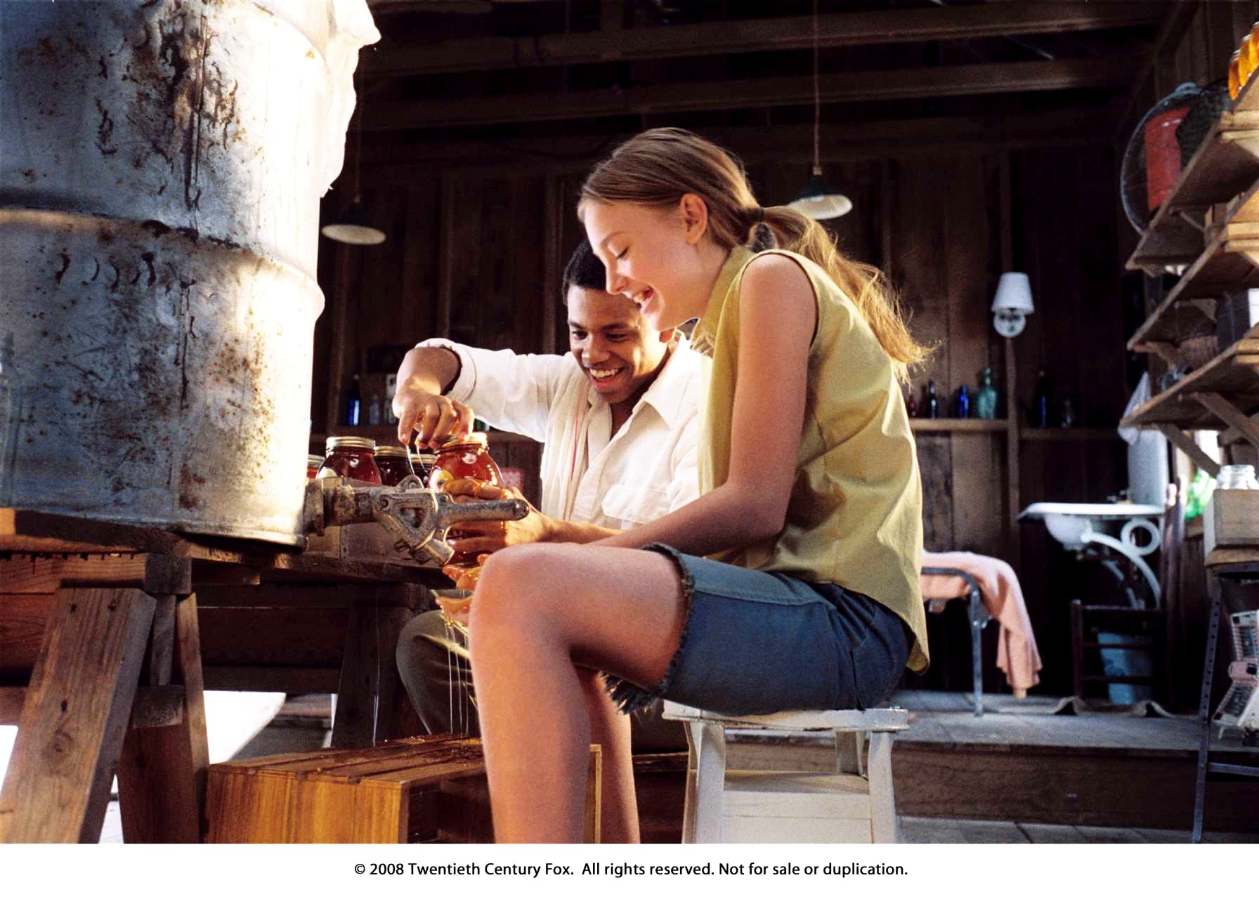 The Secret Life of Bees Picture 4