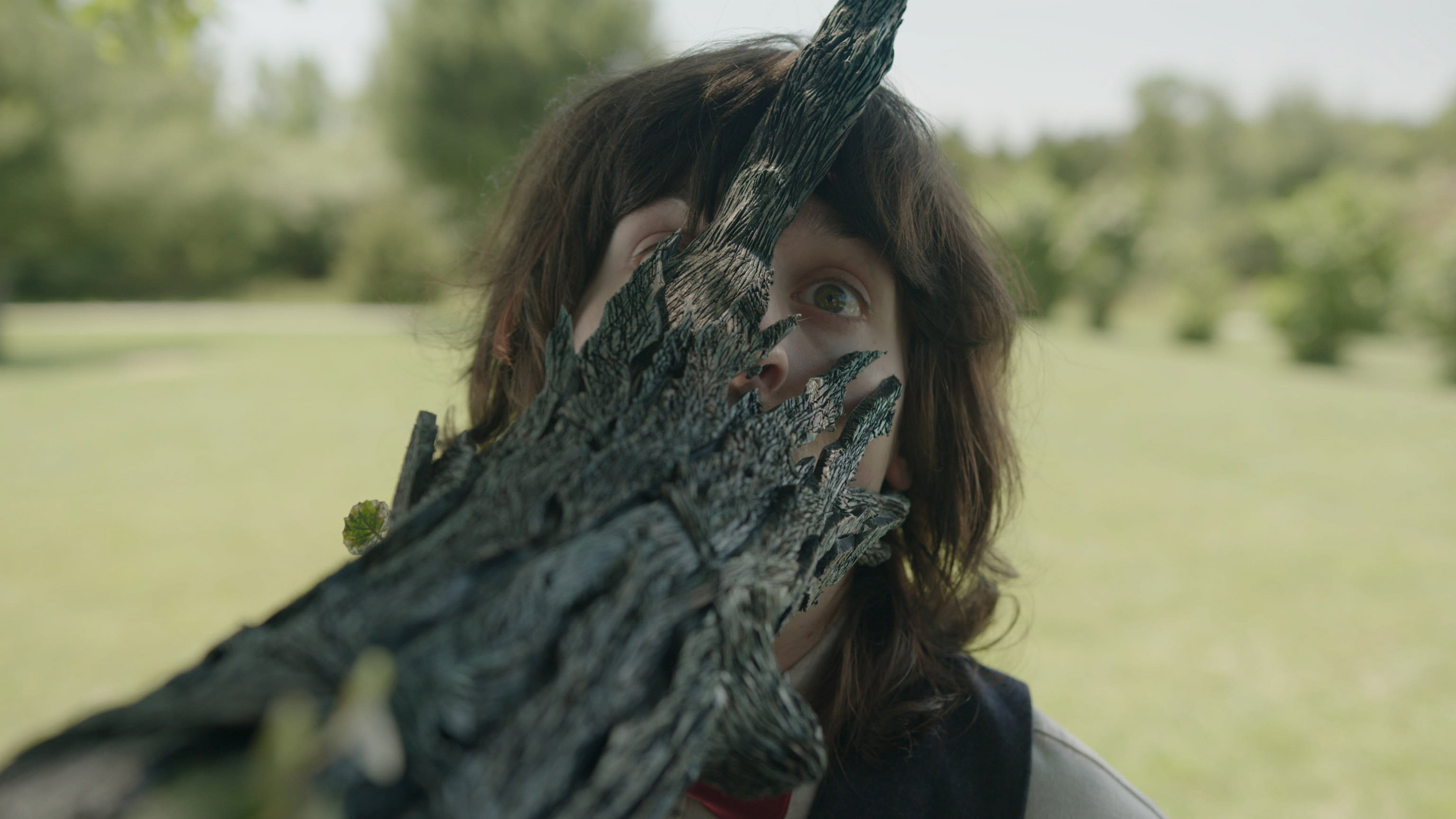 The Taking Tree (2026)