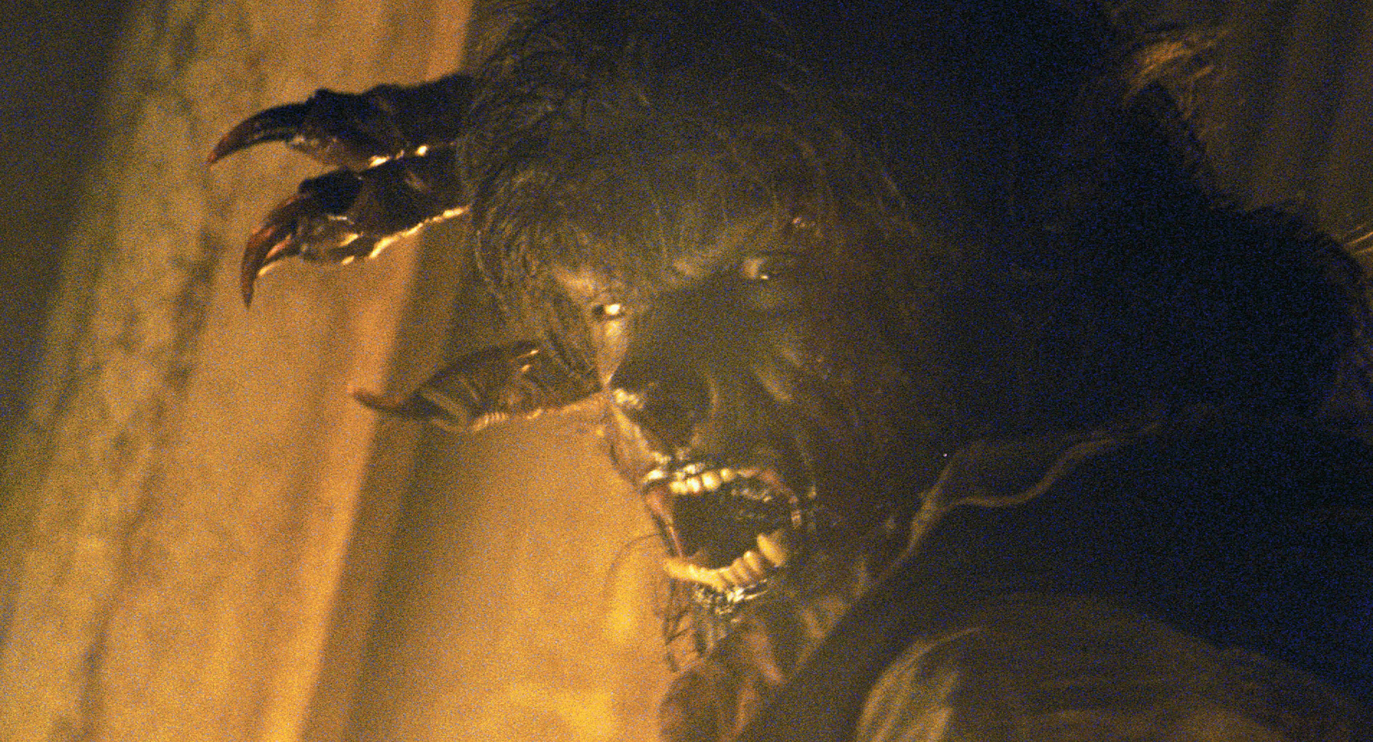 A scene from Universal Pictures' The Wolfman (2009)