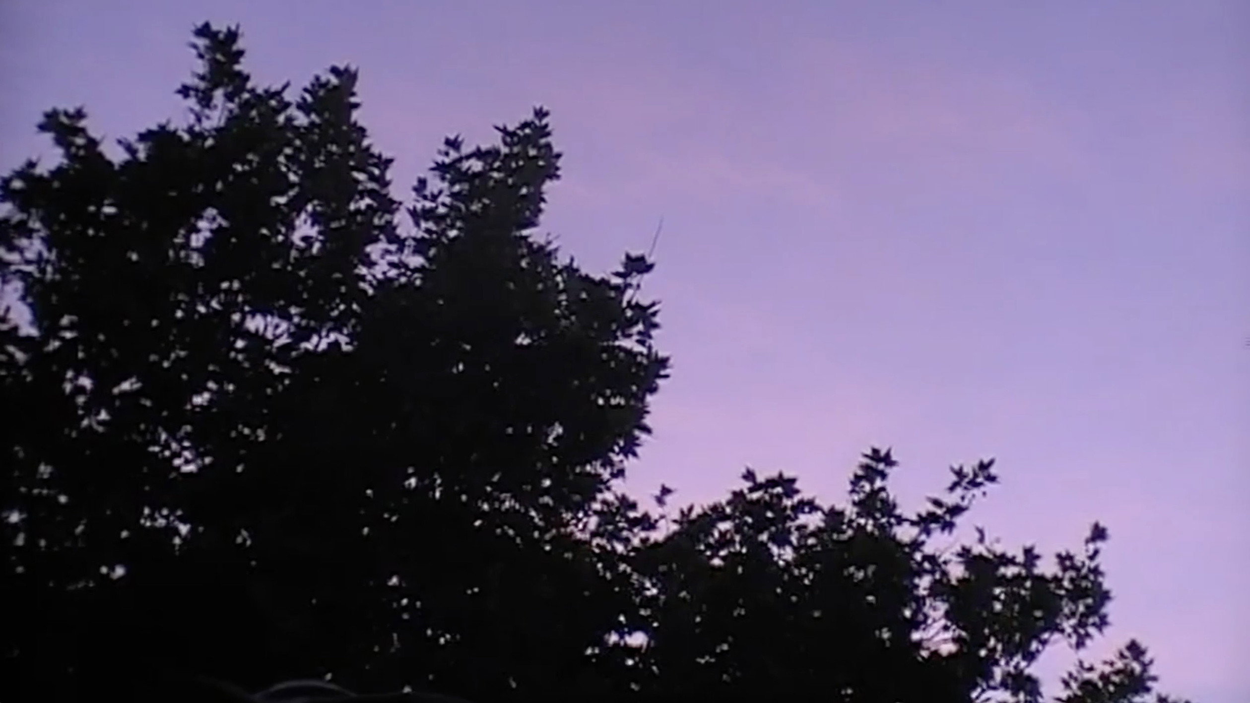 Towards The Night (2026)