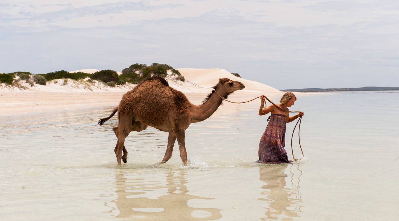 Mia Wasikowska stars as Robyn Davidson in The Weinstein Company's Tracks (2014)