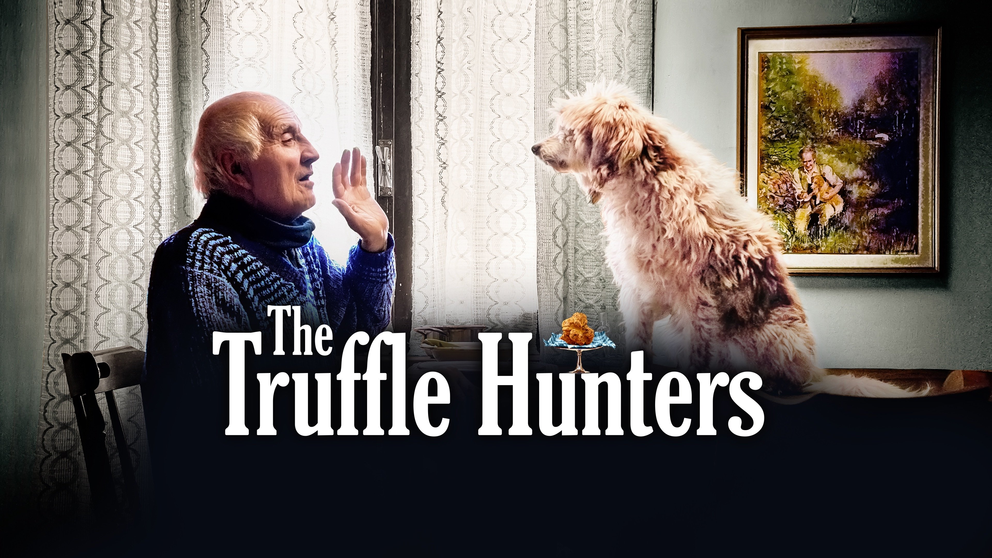 Truffle Hunters, The Picture 4 | AceShowbiz