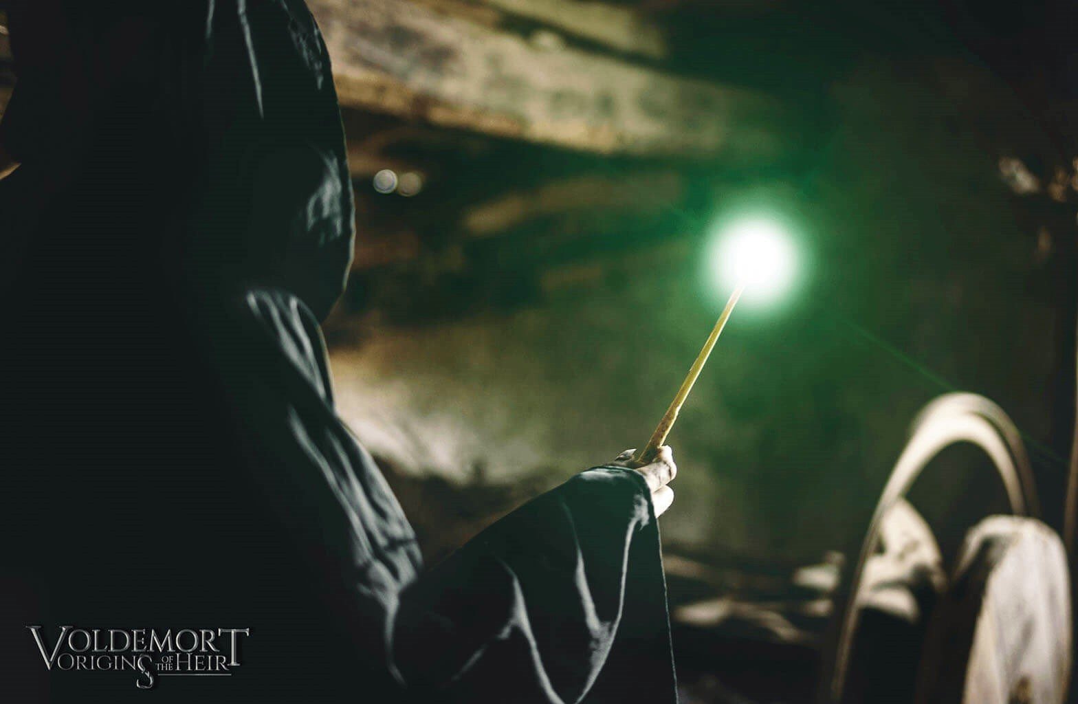 Voldemort Origins of the Heir Picture 13