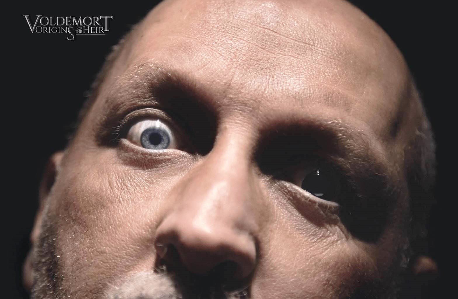 Voldemort: Origins of the Heir (2018) Pictures, Trailer, Reviews, News