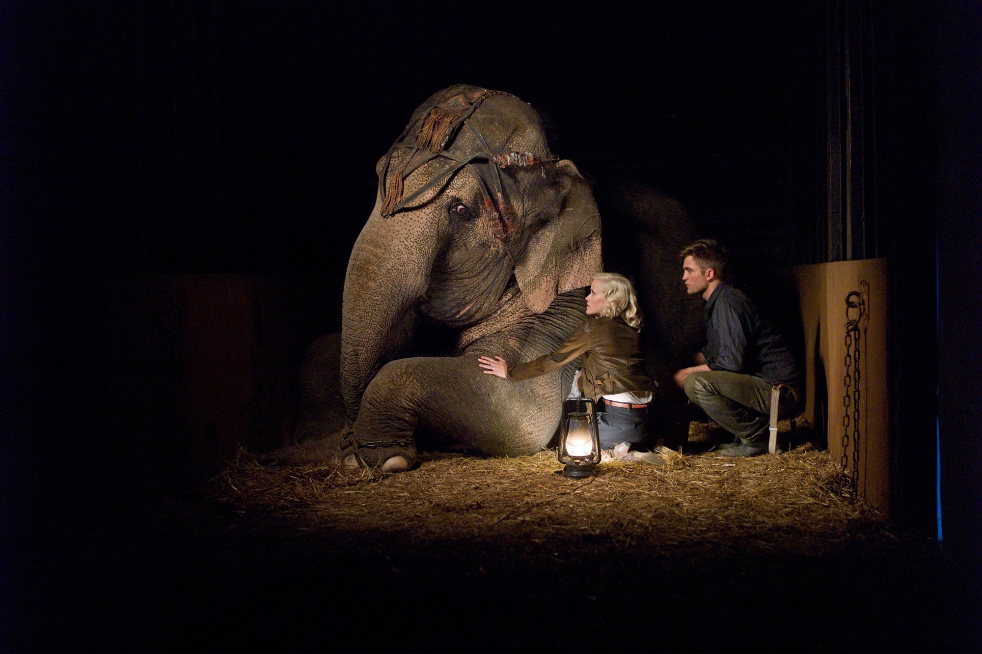 Water for Elephants (2011) Cast, Crew, Synopsis and Movie Info