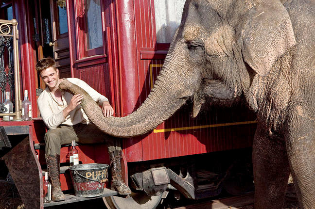 Robert Pattinson stars as Jacob Jankowski in 20th Century Fox's Water for Elephants (2011)