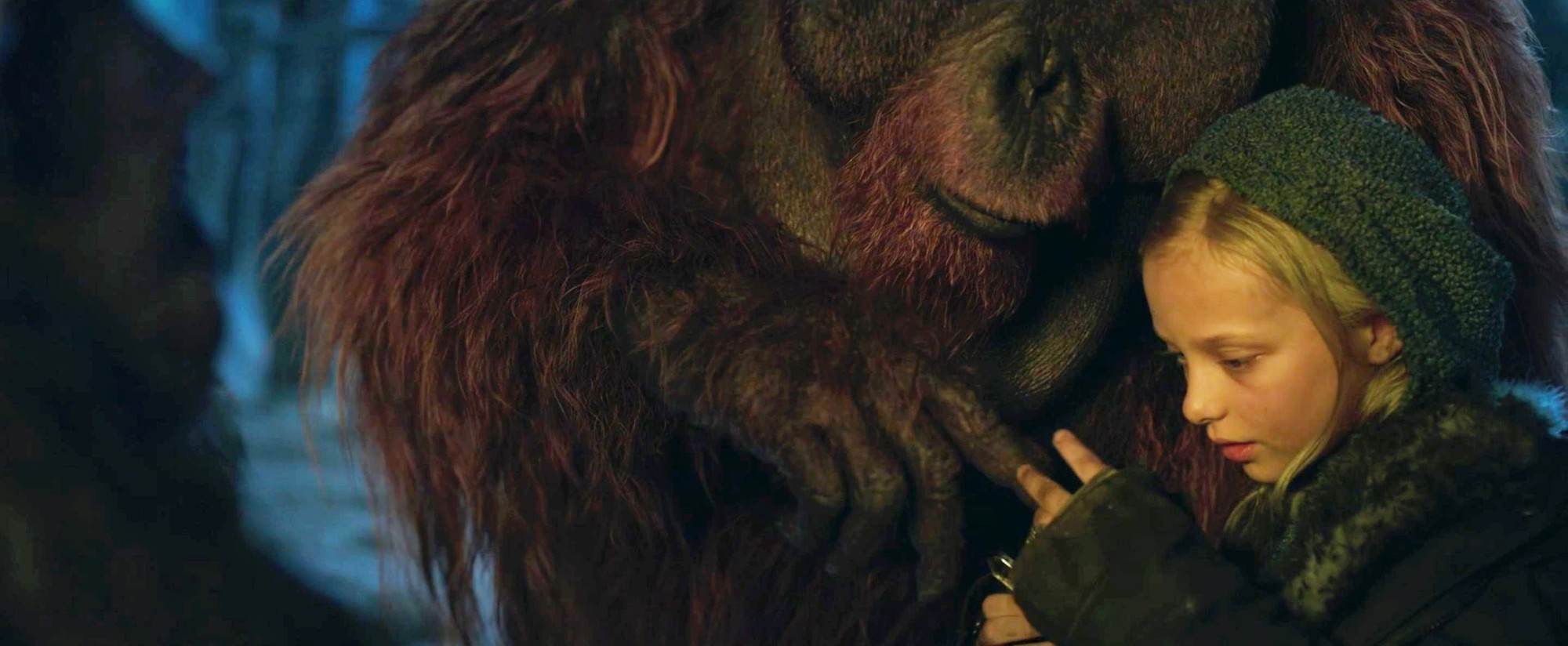 обезьяны 2017.