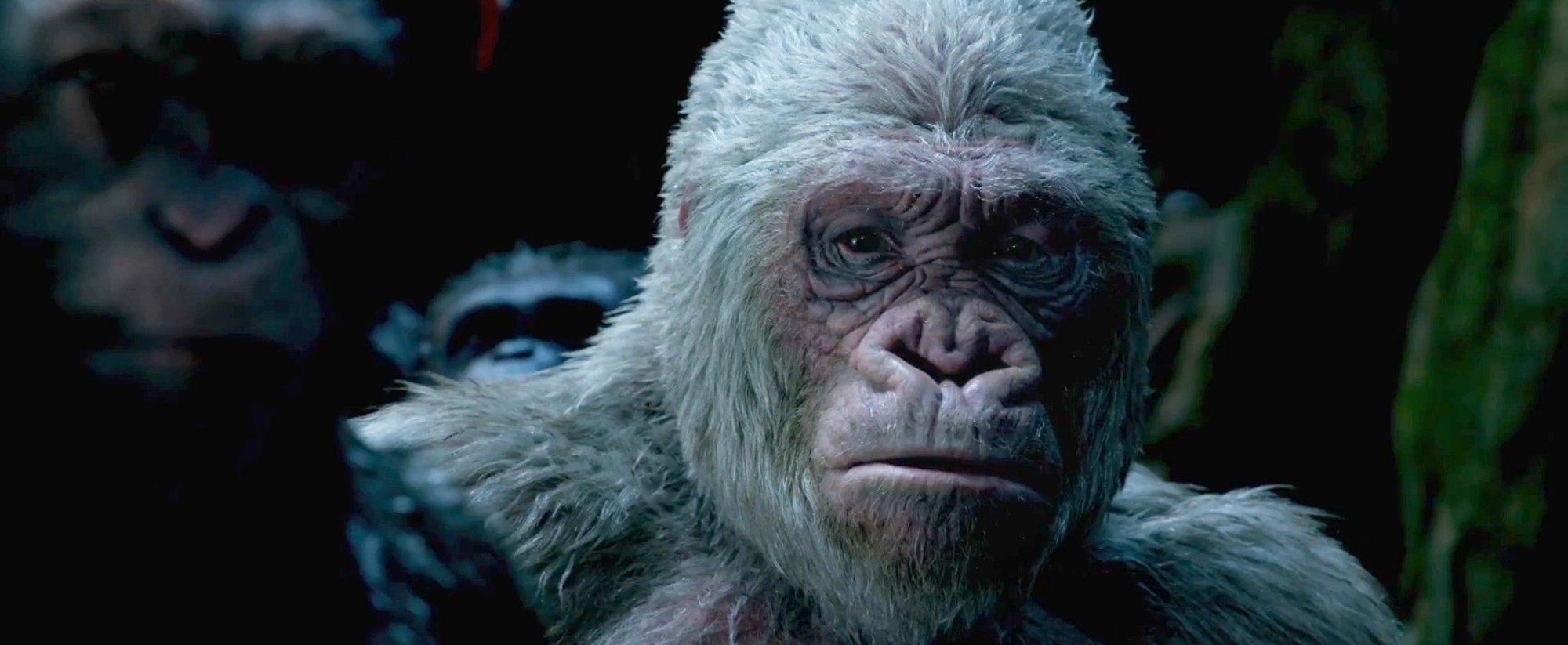 Winter from 20th Century Fox's War for the Planet of the Apes (2017)