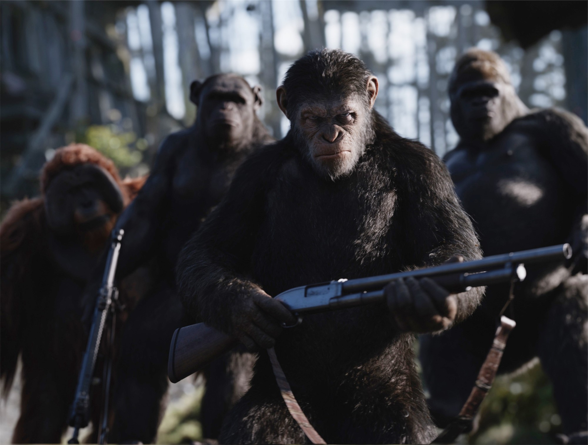 War For The Planet Of The Apes 2017 Film AceShowbiz War For The Planet Of The Apes 2017 Film AceShowbiz