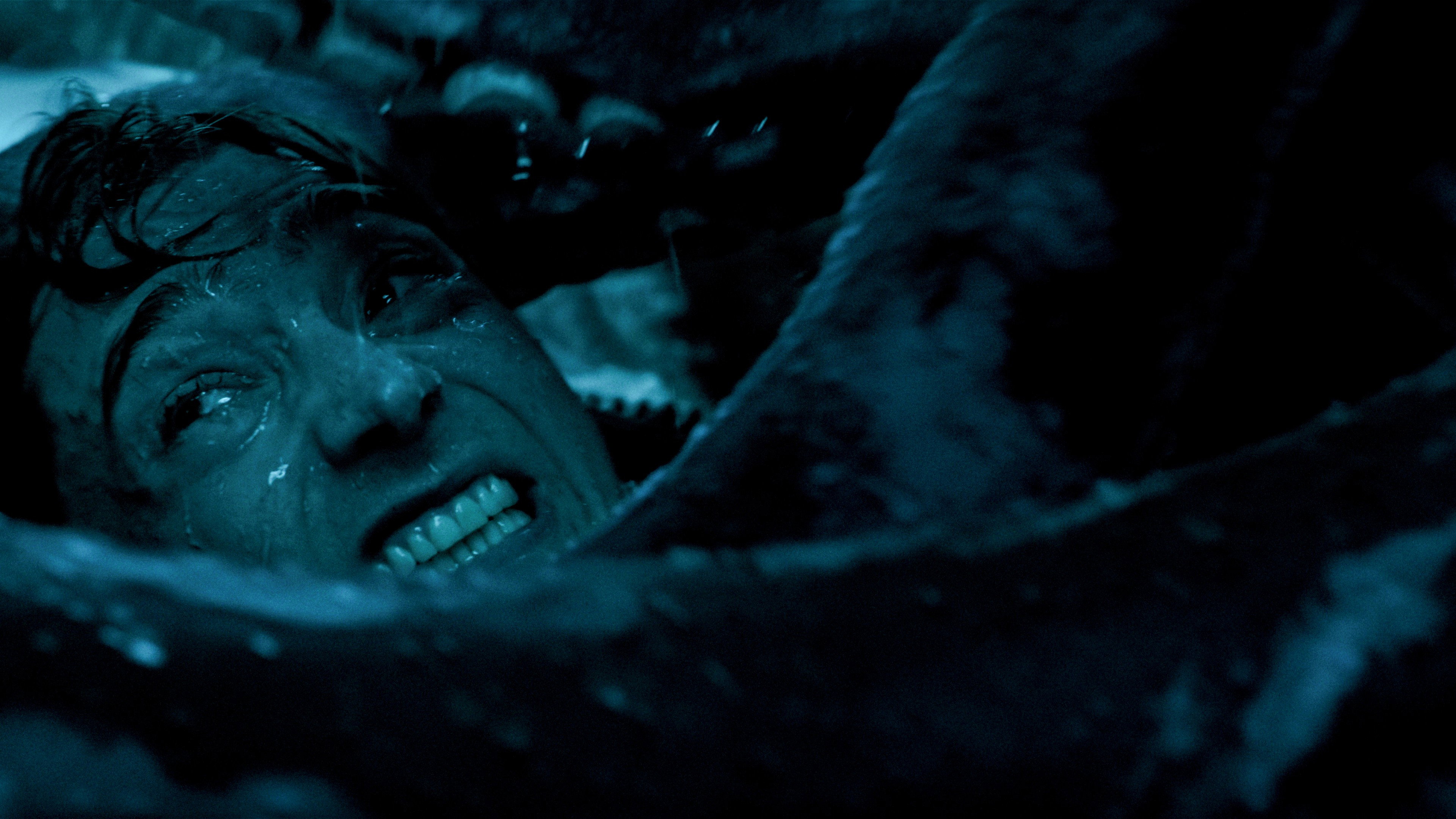 Whalefall (2026)