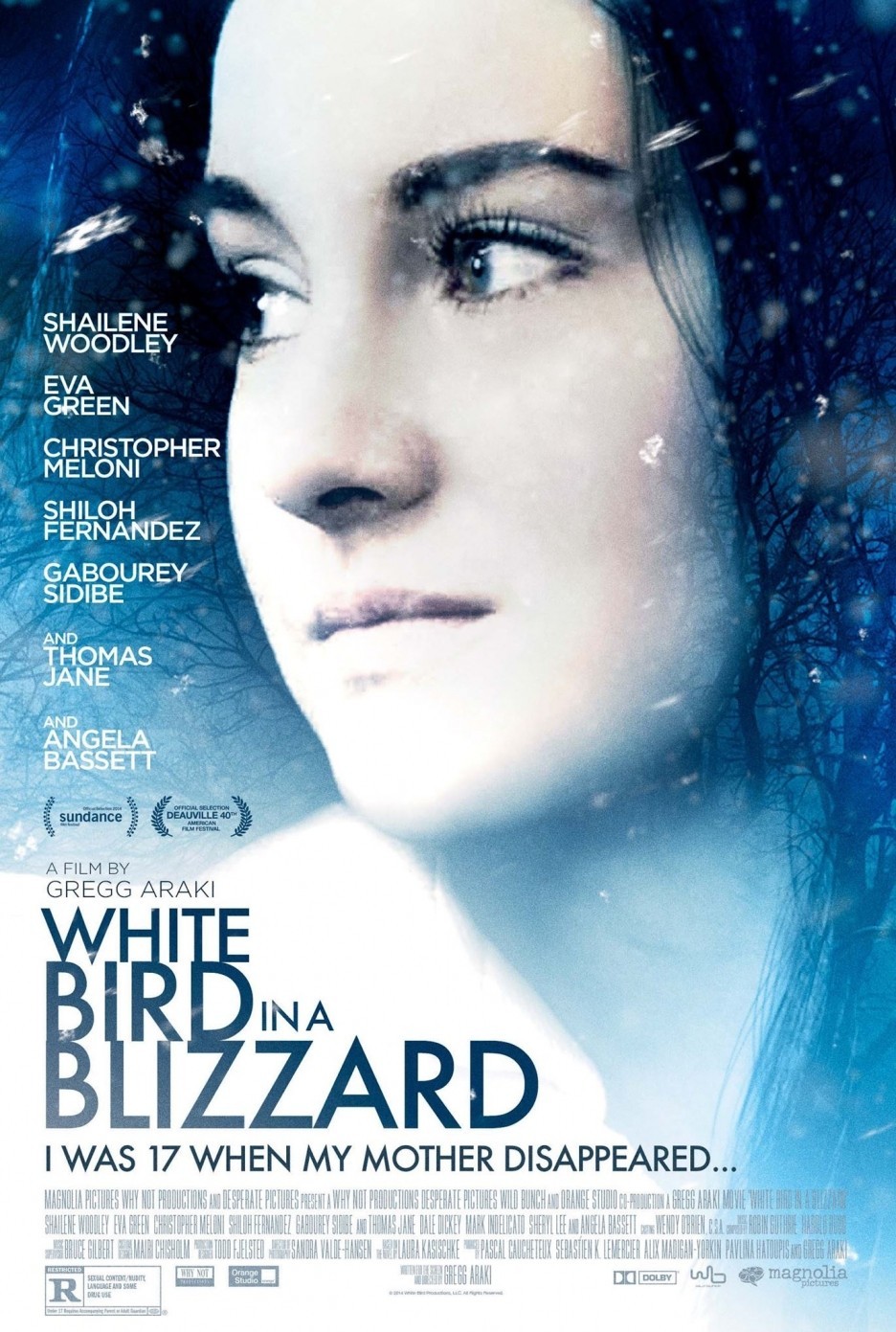 Poster of Magnolia Pictures' White Bird in a Blizzard (2014)