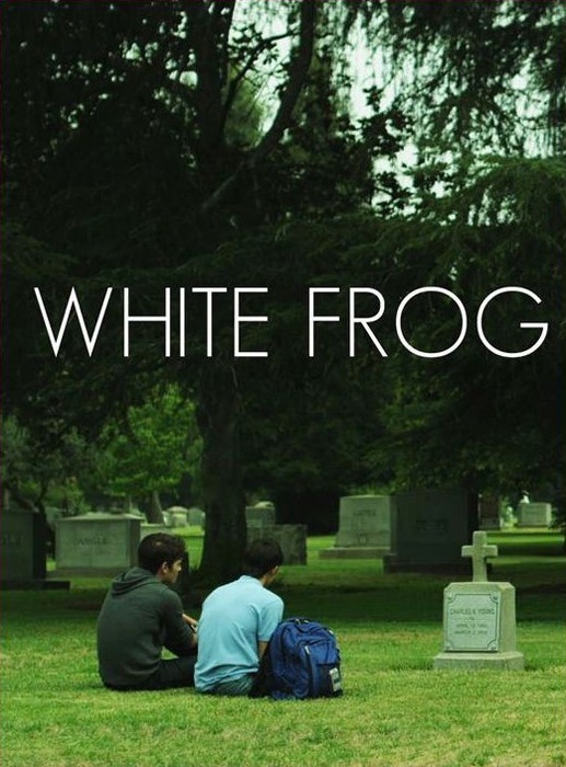 Poster of Wolfe Video's White Frog (2013)