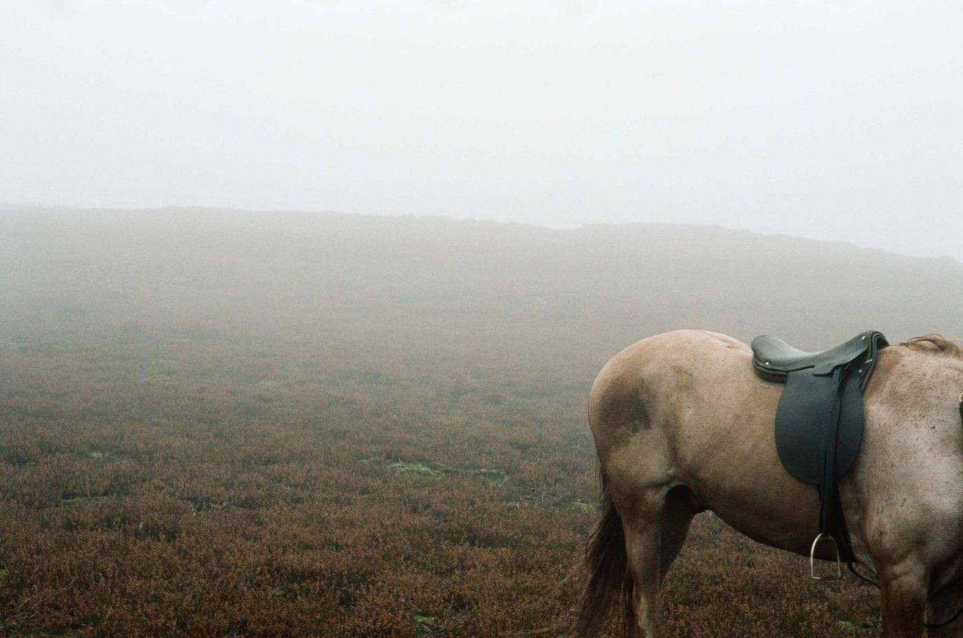 A scene from Oscilloscope Laboratories' Wuthering Heights (2012)