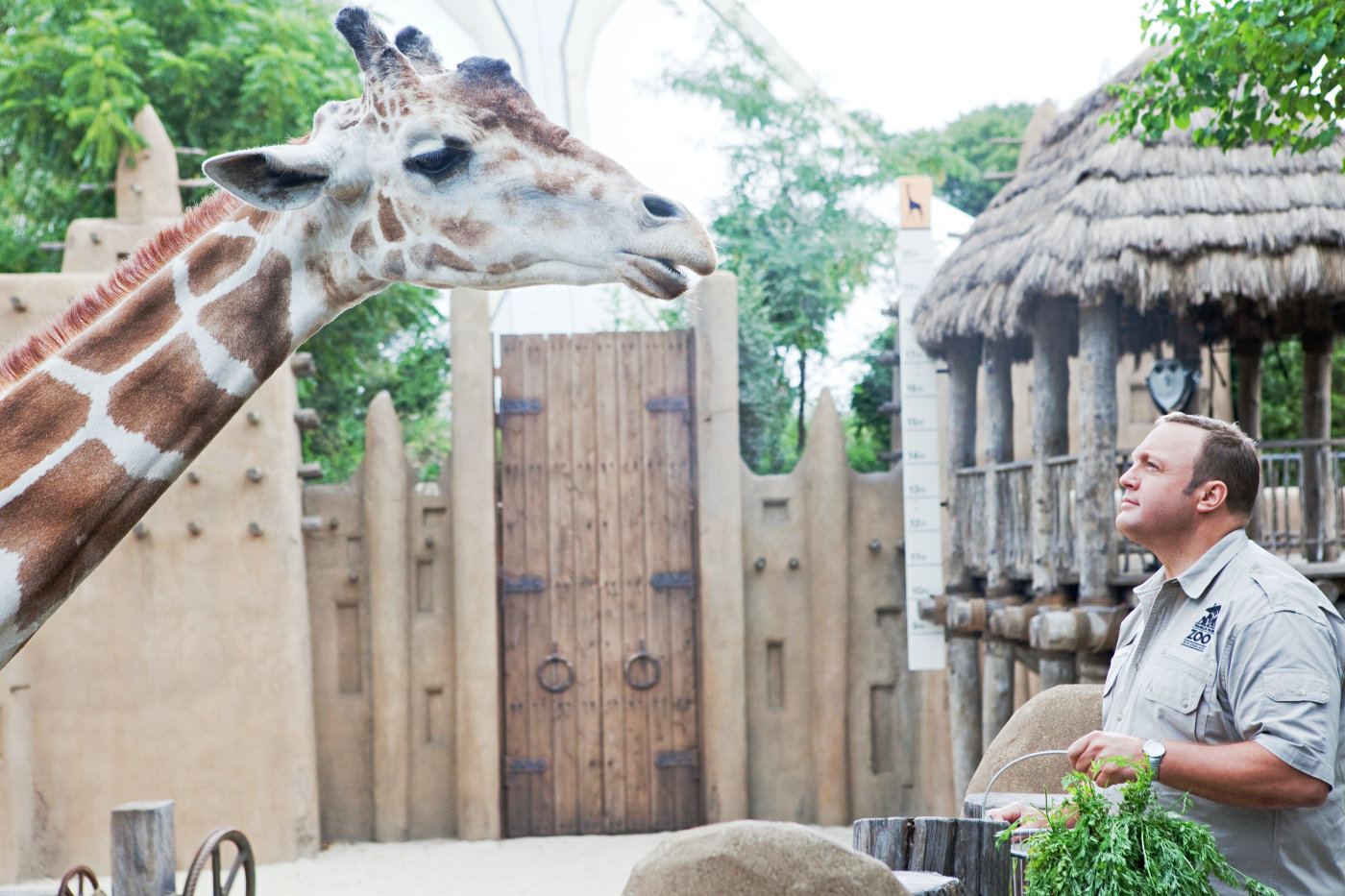 Kevin James stars as Griffin Keyes in Columbia Pictures' Zookeeper (2011)