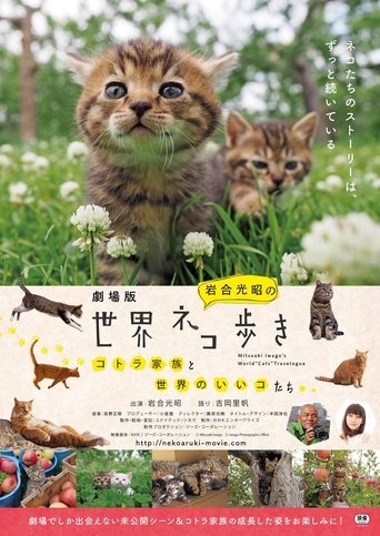 Mitsuaki Iwago's World βCatsβ Travelogue