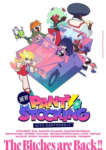New PANTY & STOCKING With GARTERBELT