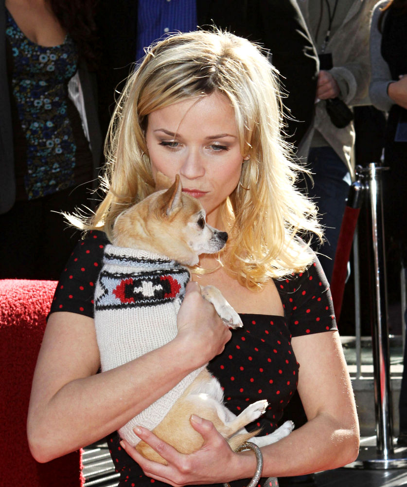 Reese Witherspoon;<br>Reese Witherspoon Hollywood Walk of Fame Star Induction Ceremony