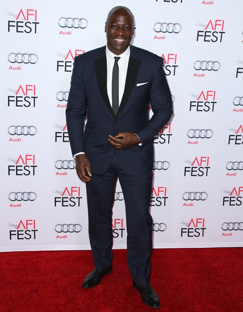 AFI FEST 2015 - Gala Premiere of Columbia Pictures' Concussion - Red Carpet Arrivals