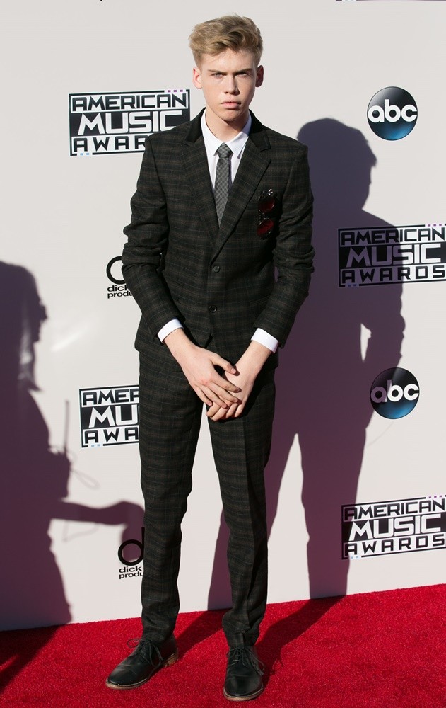 American Music Awards 2015 - Arrivals