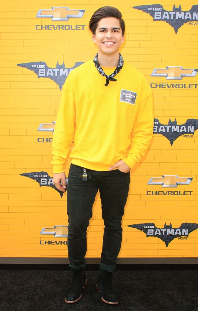 Premiere of Warner Bros. Pictures' The Lego Batman Movie - Arrivals