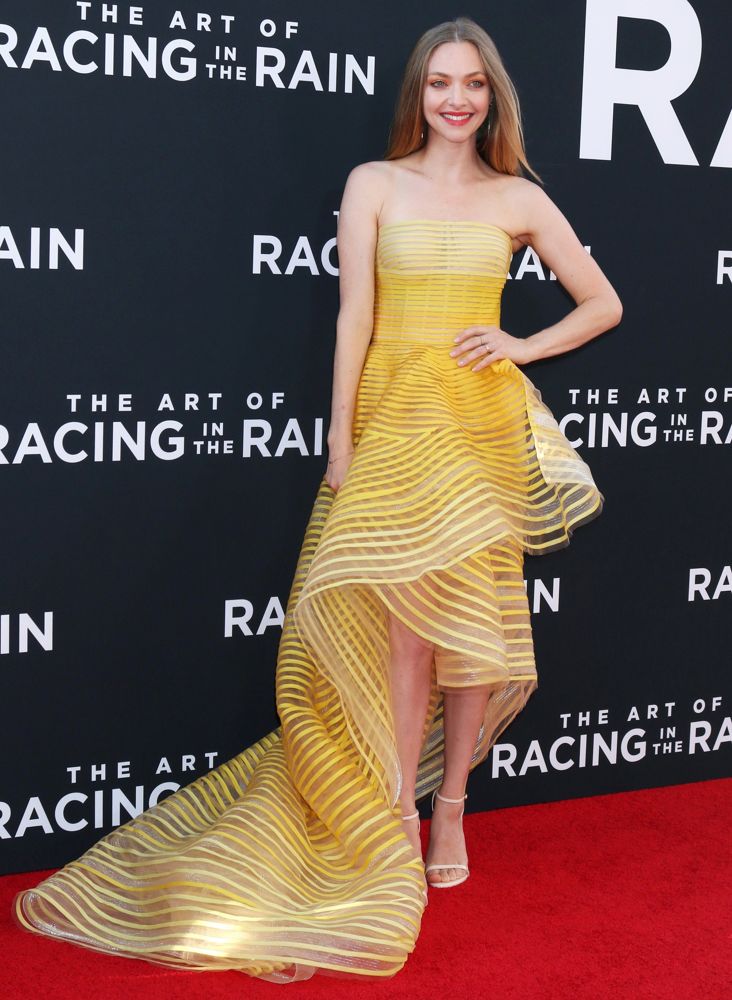The Art of Racing in the Rain World Premiere