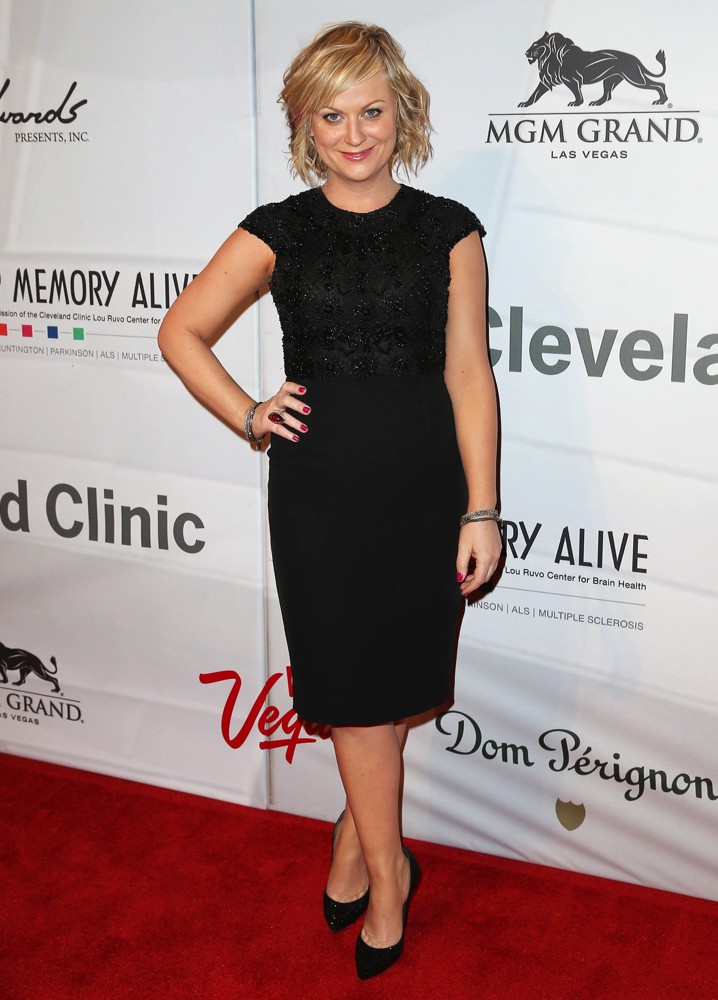 Amy Poehler;<br>Keep Memory Alive's 17th Annual Power of Love Gala Honors Quincy Jones and Sir Michael Caine