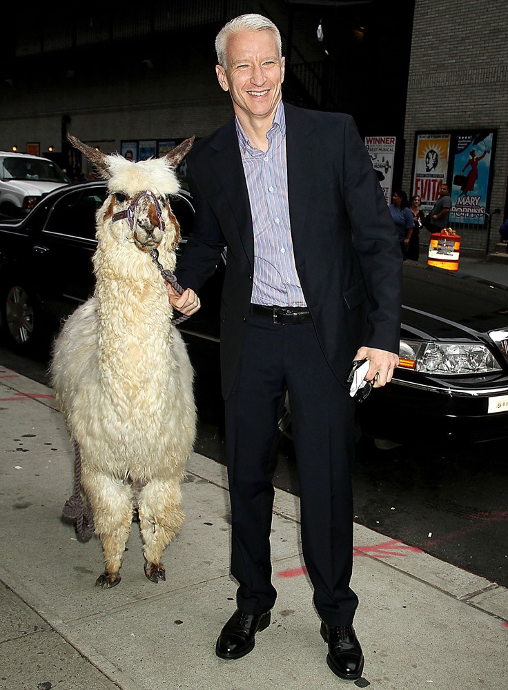 Anderson Cooper at The Late Show with David Letterman with A Lama