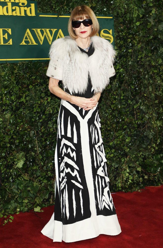 Anna Wintour;<br>The Evening Standard Theatre Awards 2017 - Arrivals