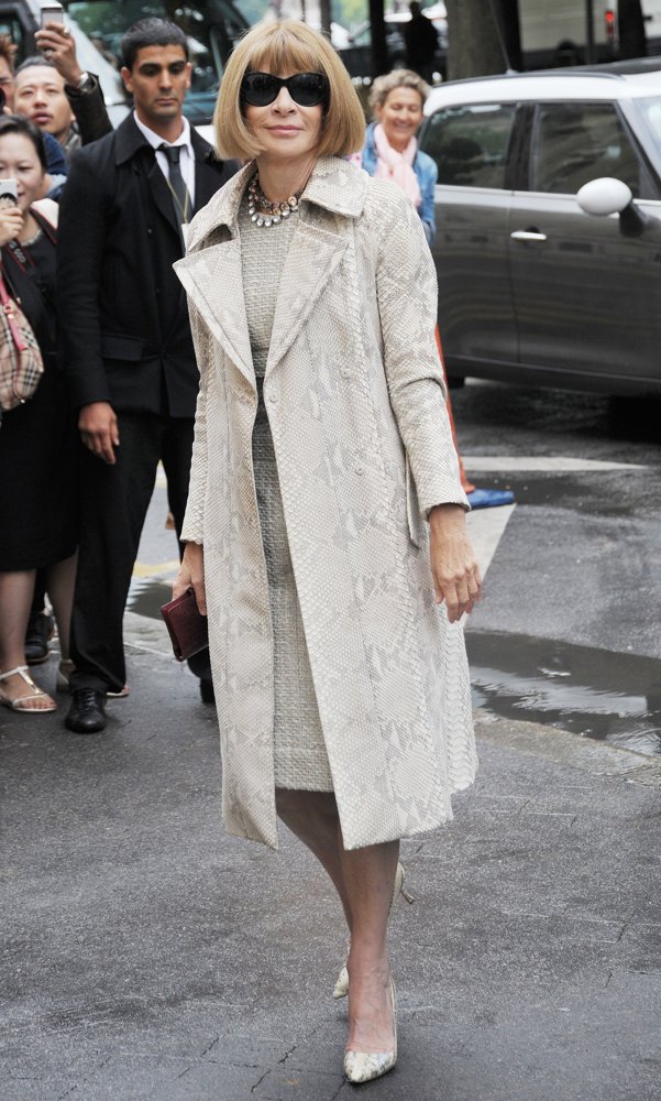 Anna Wintour Picture 19 - Paris Fashion Week Haute Couture Fall-Winter ...