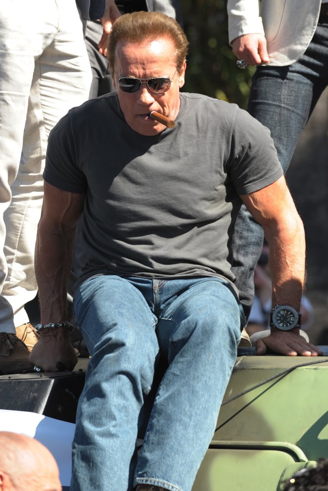 Arnold Schwarzenegger Picture 121 - The Jameson Empire Awards 2014