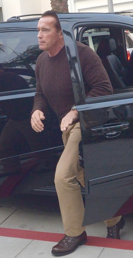 Arnold Schwarzenegger Heads to Prada on Christmas Eve
