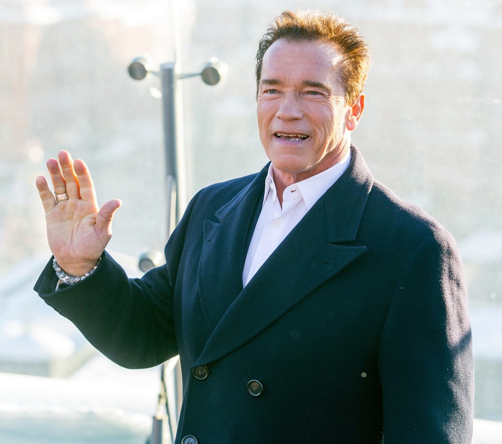 arnold-schwarzenegger Picture 100 - The Last Stand Photocall
