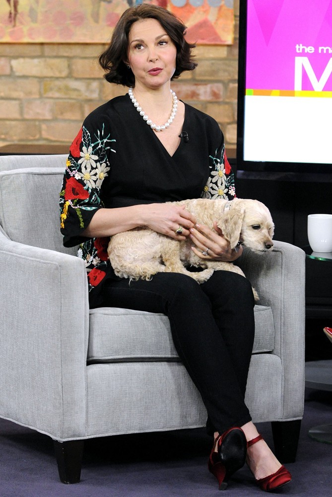 Ashley Judd Picture 21 Ashley Judd Appears On The Marilyn Denis Show