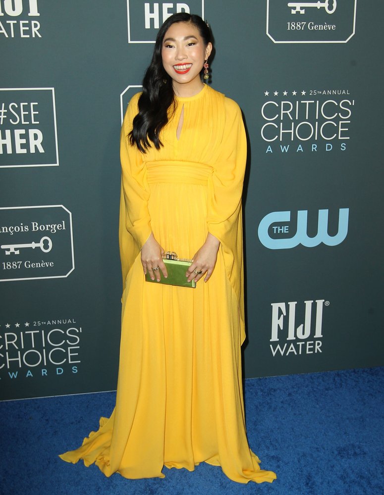25th Annual Critics Choice Awards - Arrivals