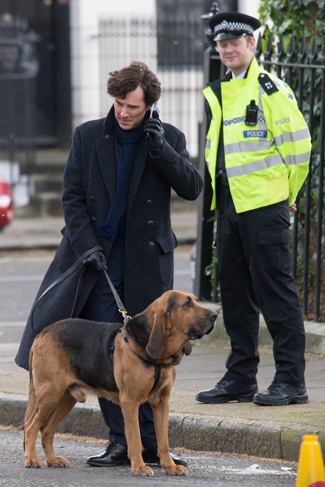 Sherlock - Events & Premieres | AceShowbiz