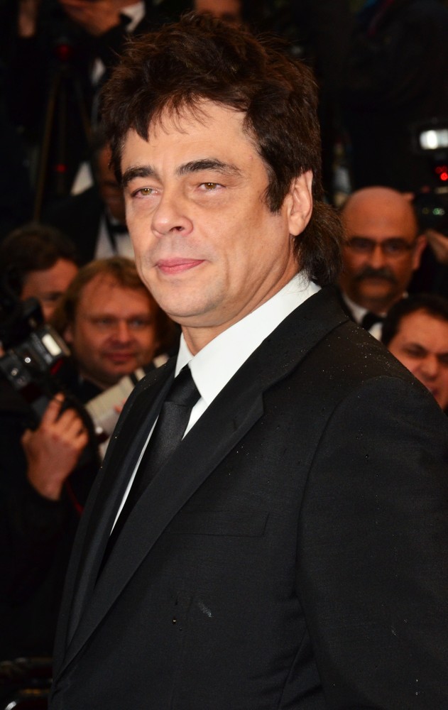66th Cannes Film Festival - Jimmy P. Psychotherapy of A Plains Indian - Premiere