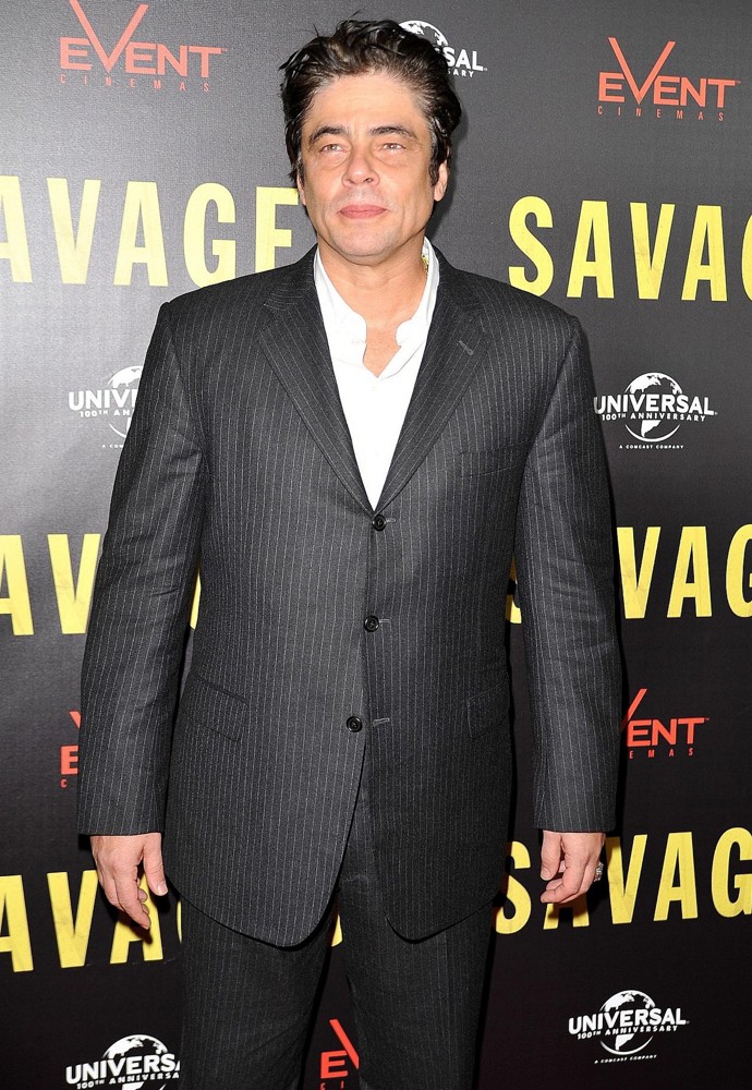 Benicio Del Toro;<br>A Photocall for The Savages