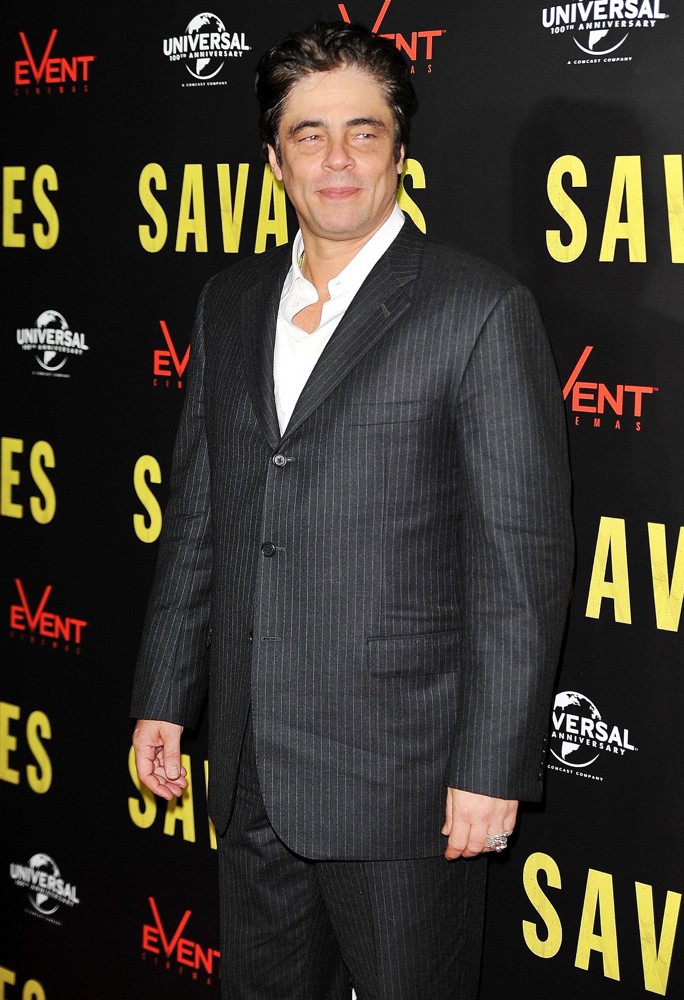 Benicio Del Toro;<br>A Photocall for The Savages