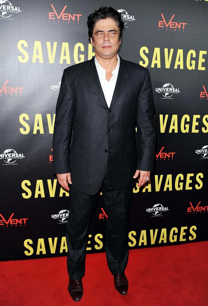 Benicio Del Toro;<br>A Photocall for The Savages