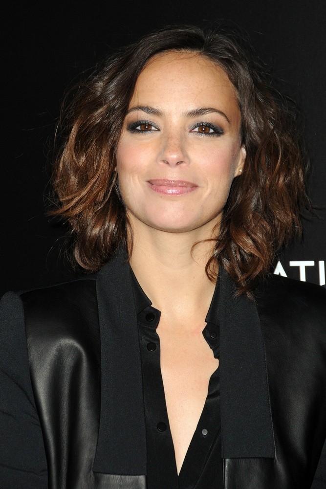 Berenice Bejo Picture 72 - 2014 National Board of Review Awards Gala