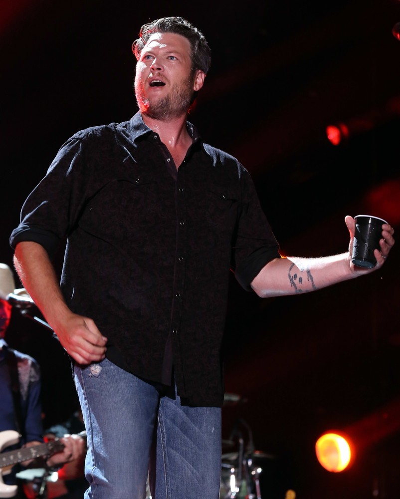 The 2013 CMA Music Festival - Day 2