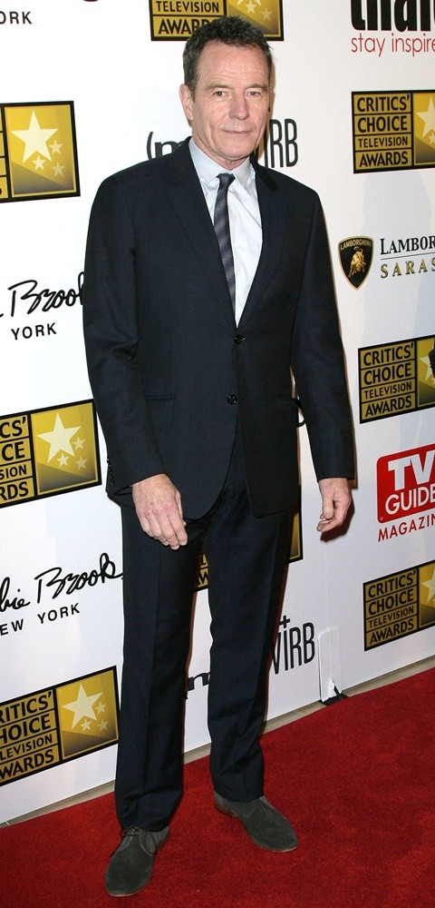 Bryan Cranston;<br>Broadcast Television Journalists Association's 3rd Annual Critics' Choice Television Awards