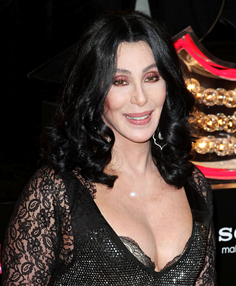 Cher Picture 13 - Los Angeles Premiere of "Burlesque"